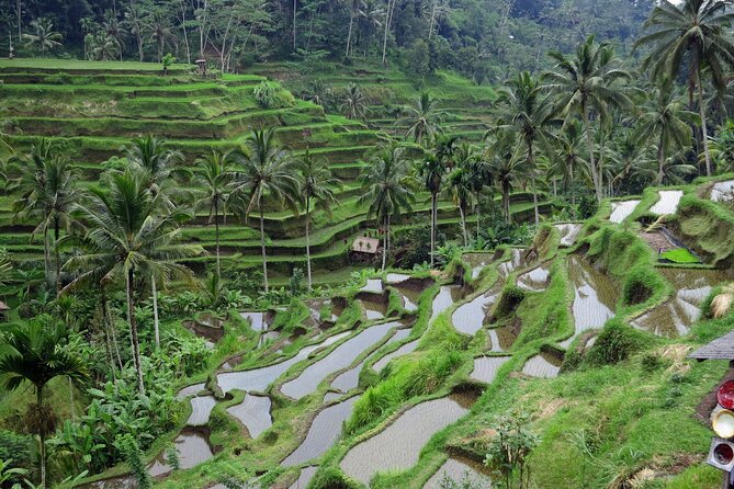 Ubud private tours - How the route pacing works across 6 to 10 hours