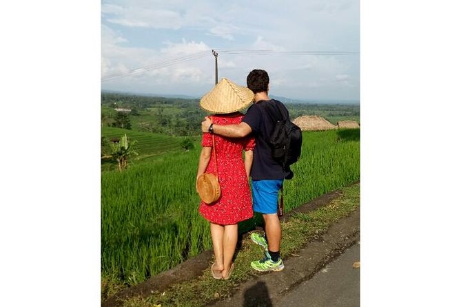Ubud Tour Monkey Forest, Rice Terrace, Swing, Temple, Waterfall - Tegalalang Rice Terrace, Subak irrigation and the view from the cliff edge