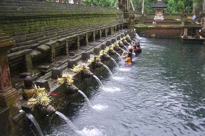 Ubud Tour - Ubud Highlight - Private Tour All inclusive - Lunch at D Alas Warung: a break with jungle views
