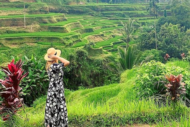 Ubud Tour - Ubud Highlight - Private Tour All inclusive - Tegalalang Rice Terrace: viewpoints in 45 minutes