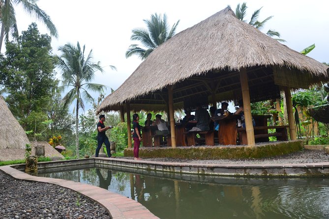 Ubud Village Sightseeing, Famous Paddy Field And Ubud Waterfall - Tegenungan waterfall: green scenery and optional swim time