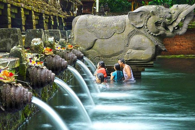Ubud Village Sightseeing, Famous Paddy Field And Ubud Waterfall - Guides, punctuality, and why it changes the day
