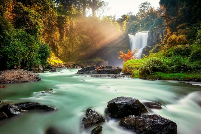Ubud Village Sightseeing, Famous Paddy Field And Ubud Waterfall - Tegallalang rice terraces: the view and the craft road