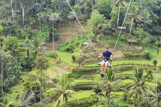 Ubud Village, Tegalalang Rice Terrace Swing, Tirta Empul Temple and Waterfafall - Tirta Empul: Holy Spring Water and Purification Pools