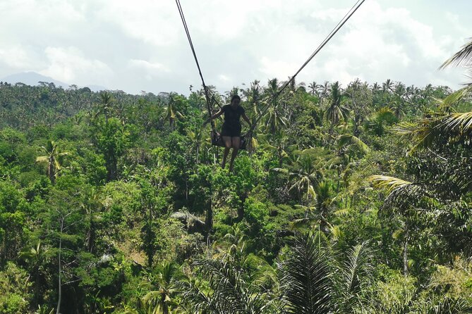 Ubud Village, Tegalalang Rice Terrace Swing, Tirta Empul Temple and Waterfafall - Tegalalang Rice Terraces: Photos, Timing, and Getting the View Right