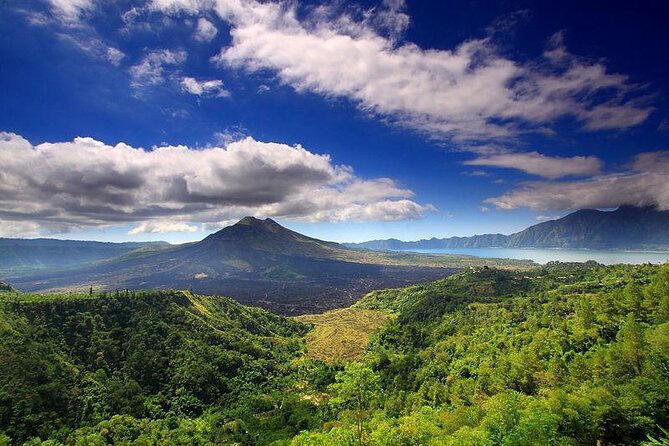 Ubud Village, Waterfall and Kintamani Volcano Tour - Key Points Worth Knowing Before You Go