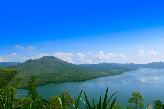 Ubud Village, Waterfall and Kintamani Volcano Tour - Sacred Monkey Forest Sanctuary: Enjoy the Animals, Respect the Space