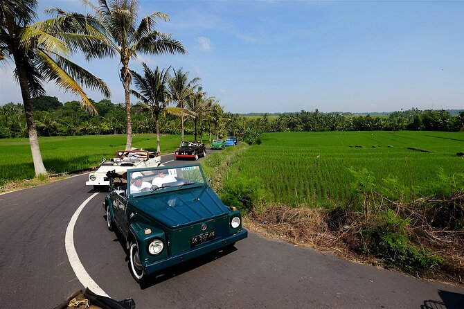 Ubud VW Safari Bali Tour - Volkswagen Classic Car Trip - Key things I’d clock before you book