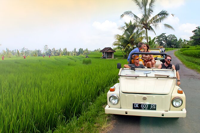 Ubud VW Safari Bali Tour - Volkswagen Classic Car Trip - Stop 6, Ubud Art Market: buy local with a plan