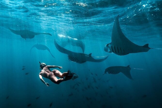 VIP Private Boat to Nusa Penida: Snorkeling with Mantas + Land Tour Adventure - Lunch on land, when the water part ends