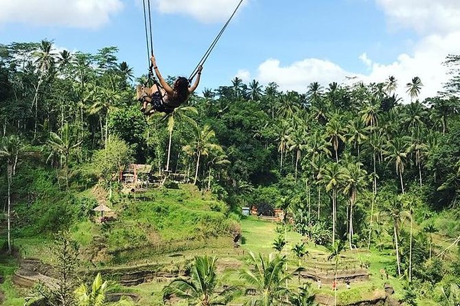 Water Rafting adventure with Jungle Swing & rice terraces - Ayung River rafting on the 10-12 km run
