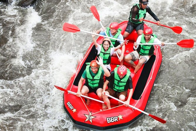 Water Rafting adventure with Jungle Swing & rice terraces - Happy Swing Bali: the included photo-and-fun stop