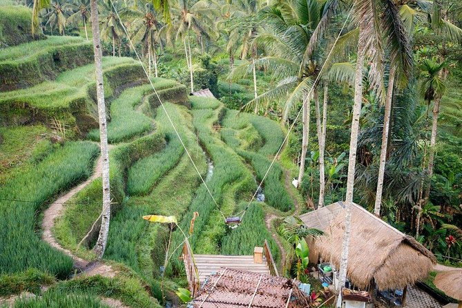 Water Rafting adventure with Jungle Swing & rice terraces - Tegalalang Rice Terrace, a calm contrast before adrenaline