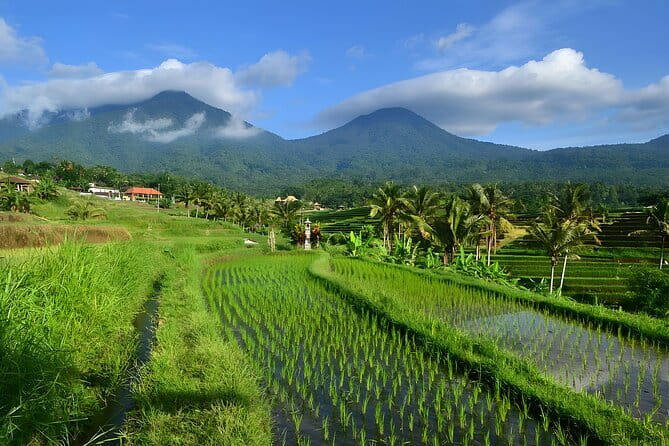 Waterfall Tour: North Bali Best Waterfalls - Wanagiri Coffee lunch with Lake Buyan and Lake Tamblingan views