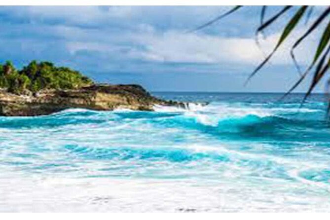 West Nusa Penida Full-Day Private Tour - Price and what you actually get for $99
