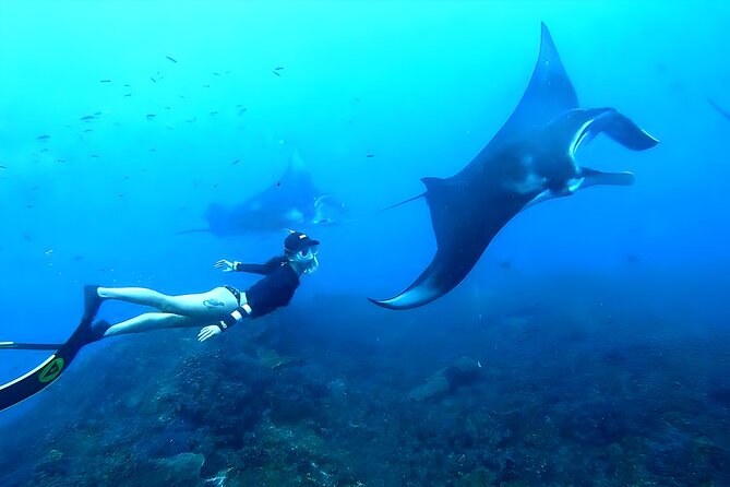 West Nusa Penida Island Snorkeling Tour - From Bali Island - Key Things I’d Prioritize on This Tour