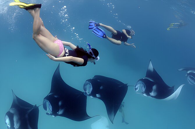 West Nusa Penida Island Snorkeling Tour - From Bali Island - How the Timing Works on a 6:30 am Start