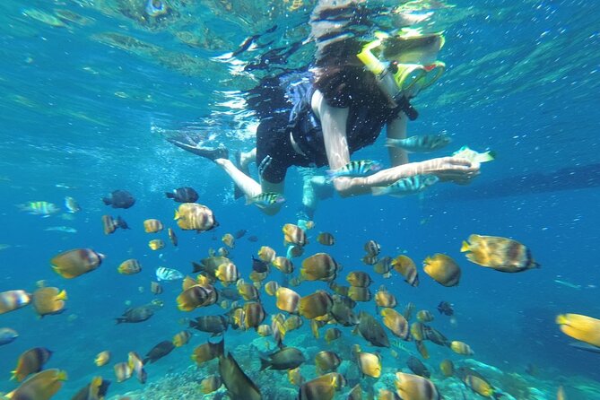 West Nusa Penida With Snorkeling Private Guided Tour - Key highlights to know before you go