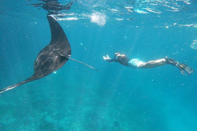 West Nusa Penida With Snorkeling Private Guided Tour - Snorkeling at Manta Point, Gamat Bay, and Crystal Bay