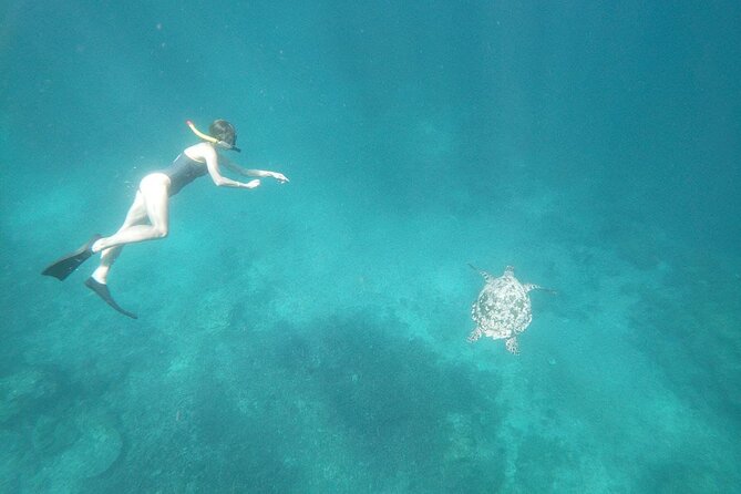 West Nusa Penida With Snorkeling Private Guided Tour - Kelingking Beach, Angel’s Billabong, and Broken Beach photo circuit