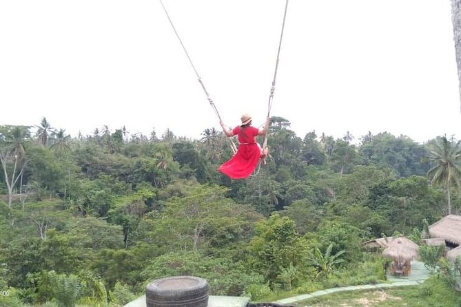 Wonderful 3 Days of Bali Private Guided Tour All Inclusive - The Private Driver and English Guide, Why It Matters More Than You Think